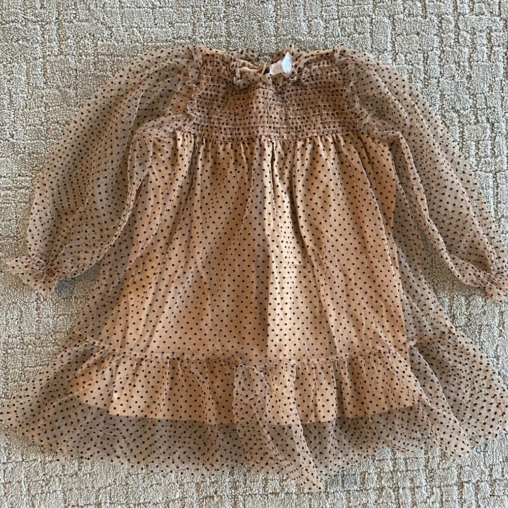Zara dress